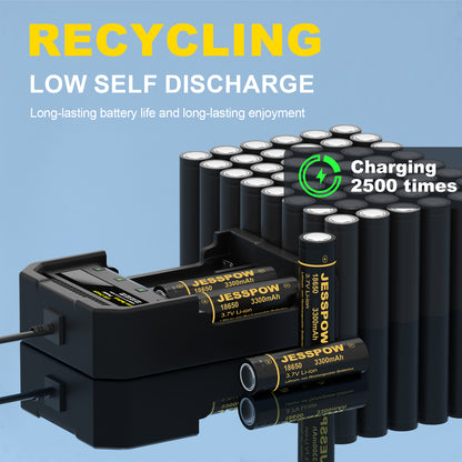 18650 2 Pack 3.7V Rechargeable Battery with Charger